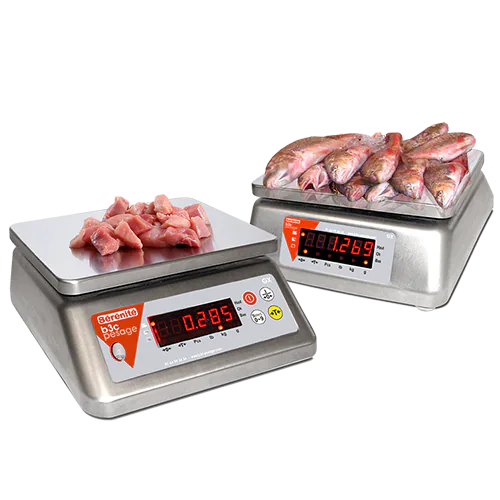 Deux balances GX tout inox pesant des morceaux de viande et des poissons entiers, sur fond blanc