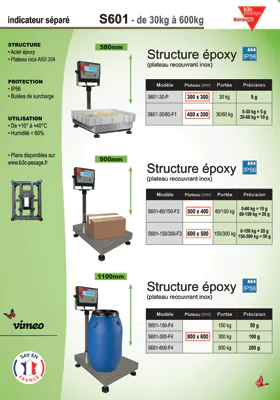 Aperçu de la première page de la fiche technique PDF de la balance plate-forme S601
