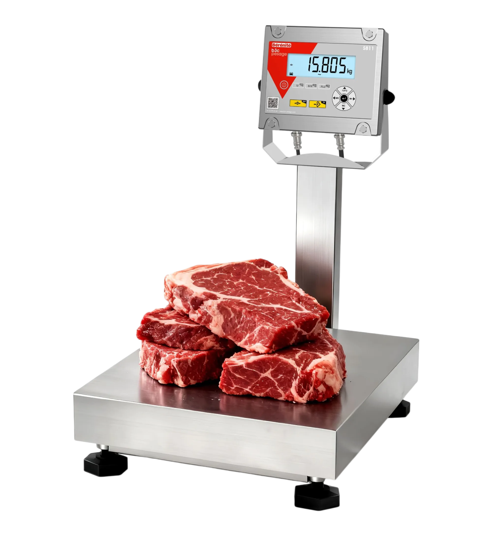Balance plate-forme B3C S811 tout inox AISI 304 IP67, plateau inox et indicateur étanche sur colonne